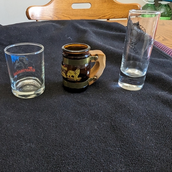 3/$30.   3 Souvenir shot glasses. - Picture 2 of 4